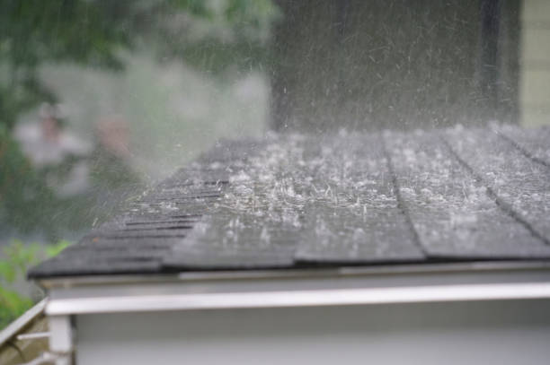 Best Asphalt Shingles Roofing  in Juarez, TX